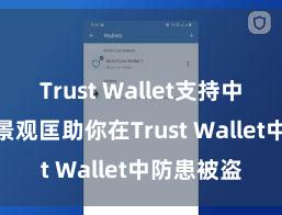 Trust Wallet支持中文吗 5个景观匡助你在Trust Wallet中防患被盗