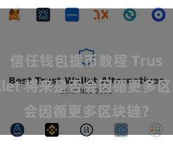 信任钱包提币教程 Trust Wallet 将来是否会因循更多区块链？