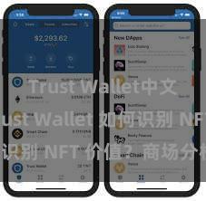 Trust Wallet中文官网 Trust Wallet 如何识别 NFT 价值？商场分析指南